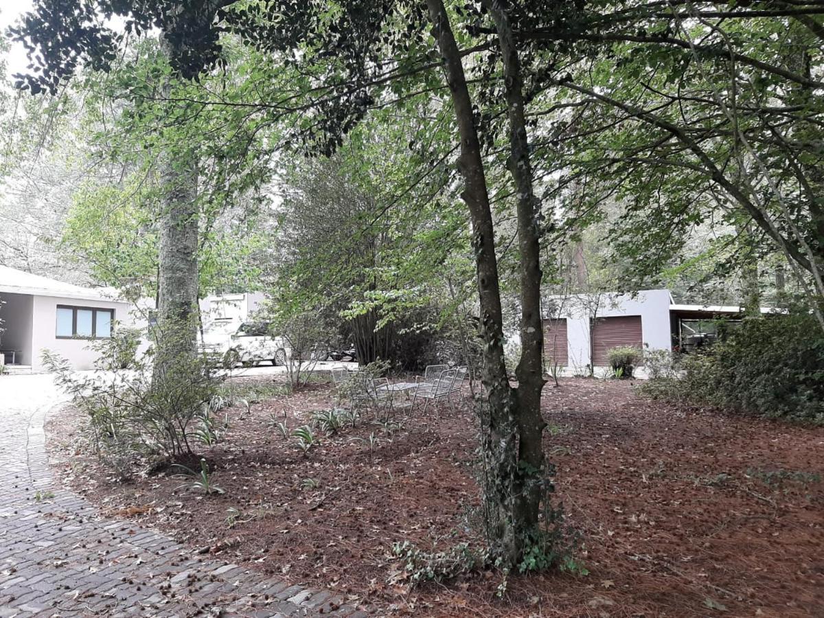 Camroshell Hotel Hogsback Luaran gambar