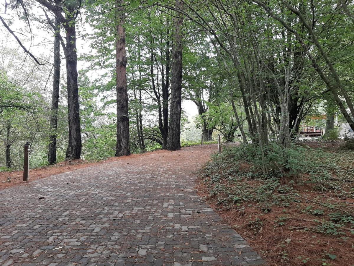 Camroshell Hotel Hogsback Luaran gambar