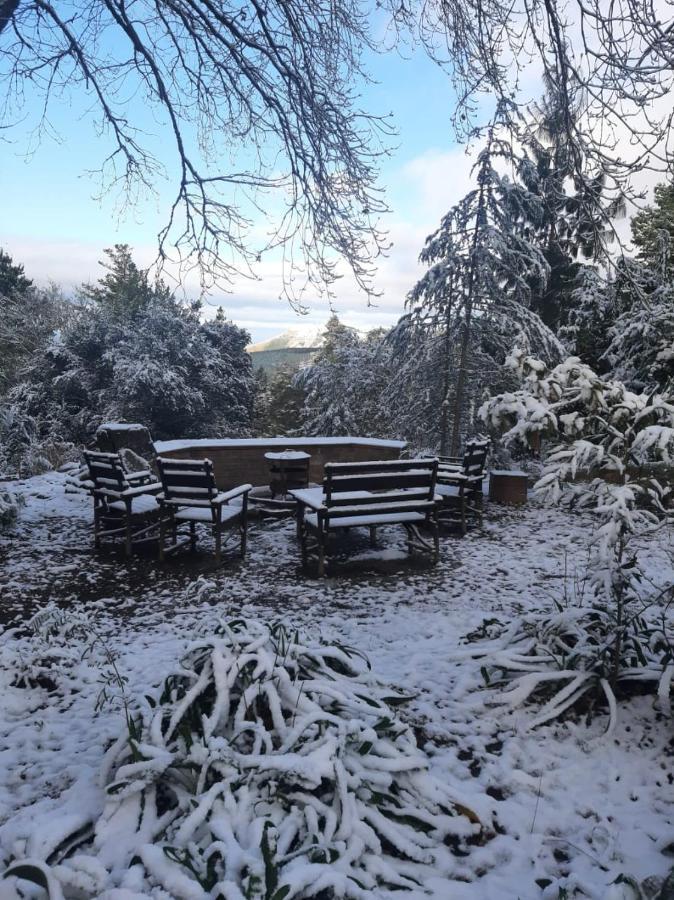 Camroshell Hotel Hogsback Luaran gambar